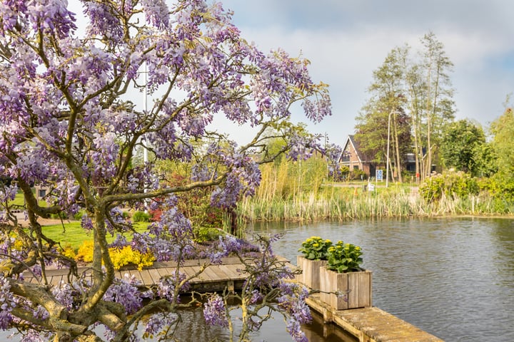 Bekijk foto 45 van Zuidwijk 29