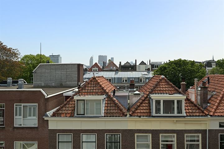 Bekijk foto 56 van Sumatrastraat 222