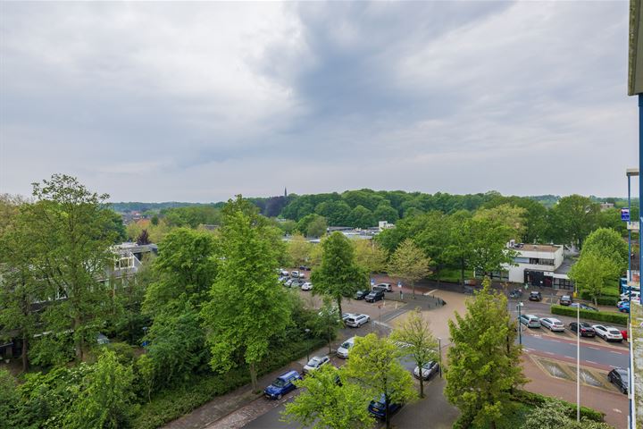 Bekijk foto 32 van Aert van Neslaan 603