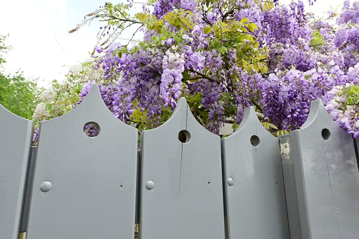 Foto 40 van Greveling 195