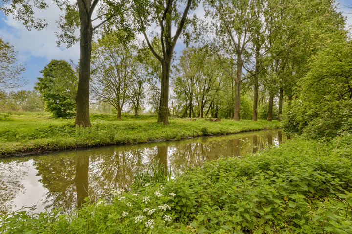 Bekijk foto 25 van Tobias Asserlaan 308