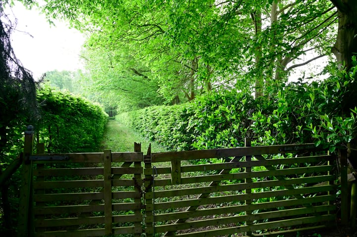 Foto 49 van Greveling 195