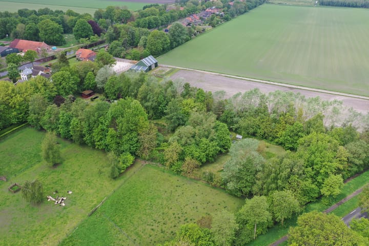 Foto 59 van Greveling 195