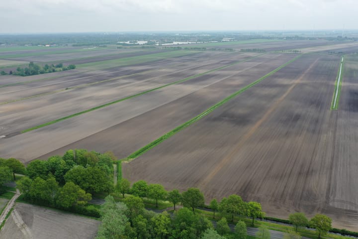 Foto 61 van Greveling 195