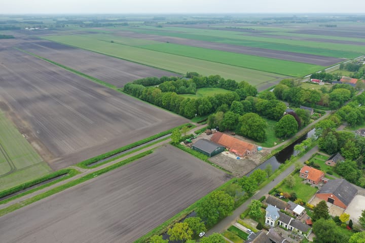 Foto 65 van Greveling 195