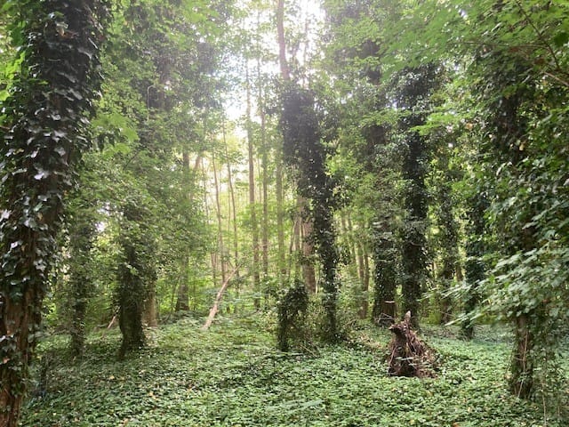 Foto 7 van Holterweg