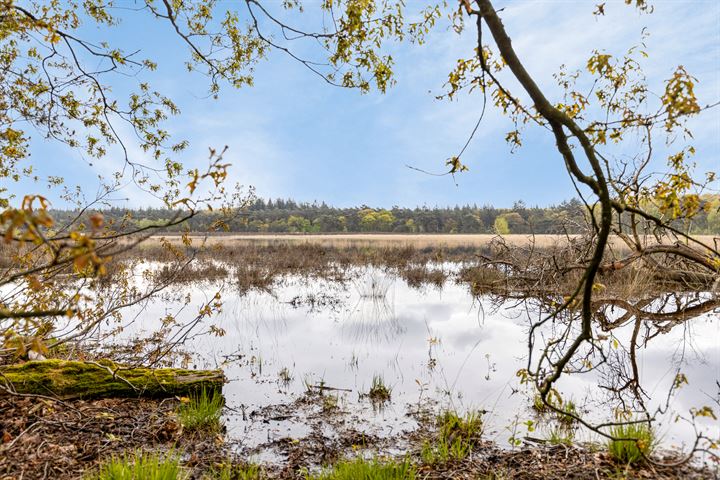 Bekijk foto 42 van Molenheide 20