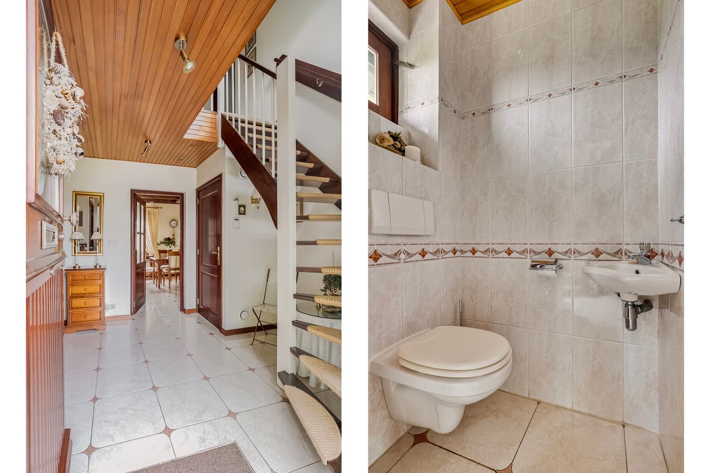 Foto 5 van Lijster 22