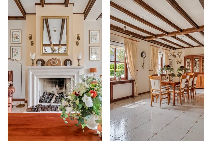 Photo 9 of Lijster 22