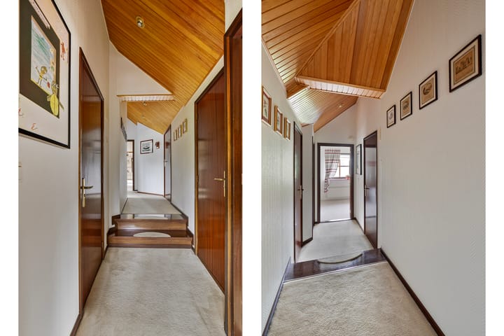 Photo 22 of Lijster 22