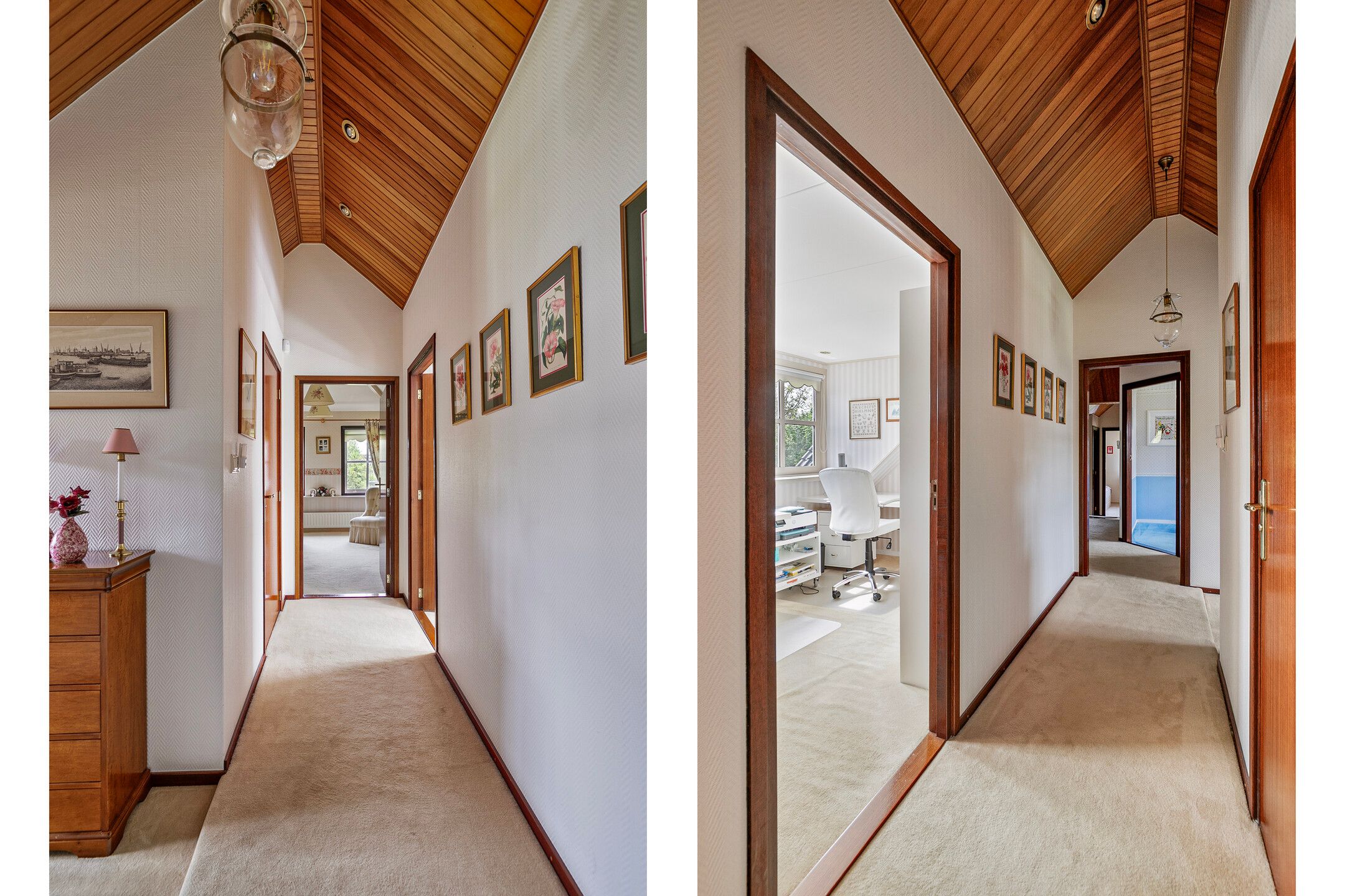 Foto 27 van Lijster 22