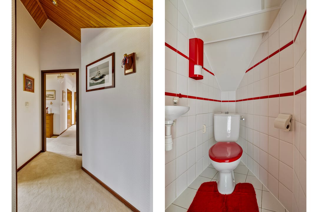 Foto 28 van Lijster 22