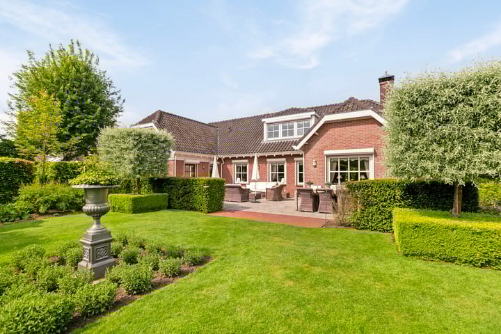 Photo 42 of Lijster 22