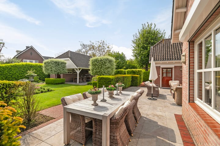 Photo 47 of Lijster 22