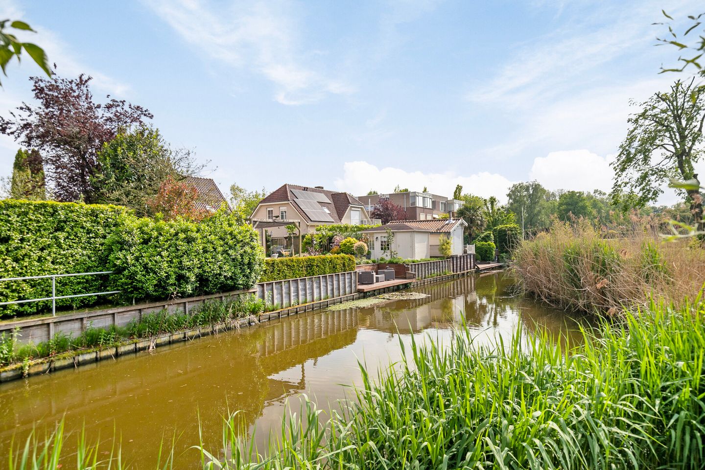 Foto 49 van Lijster 22