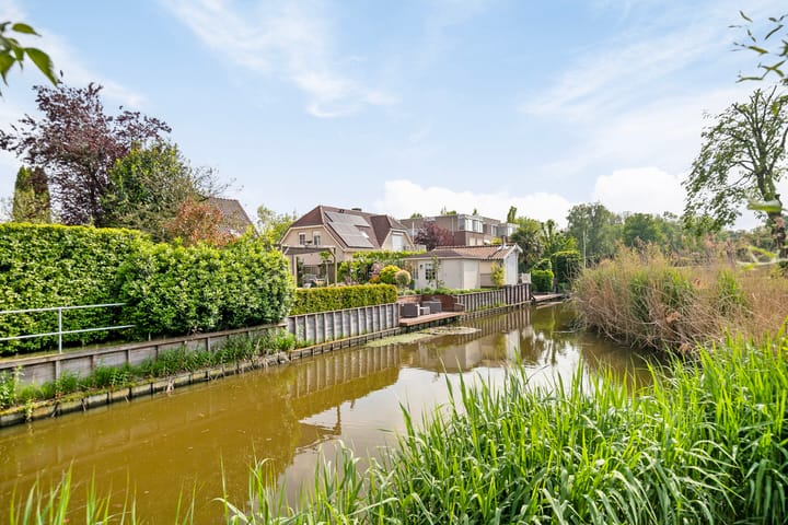 Photo 49 of Lijster 22