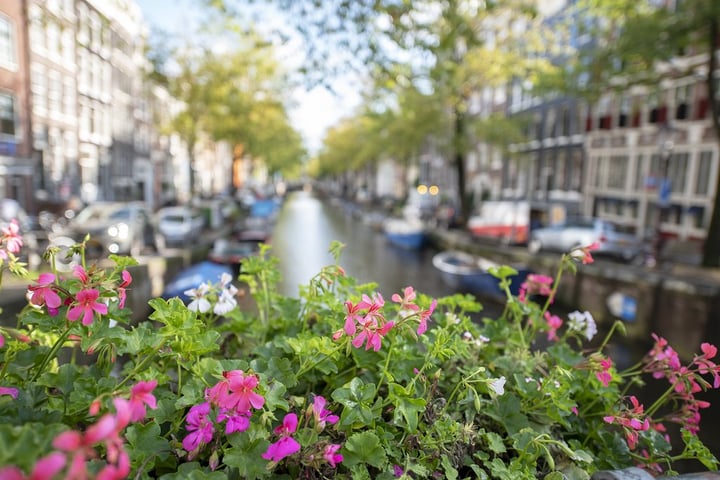 Bekijk foto 34 van Bloemgracht 95-A