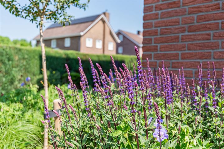 Bekijk foto 42 van Pastoor Reulinkstraat 3