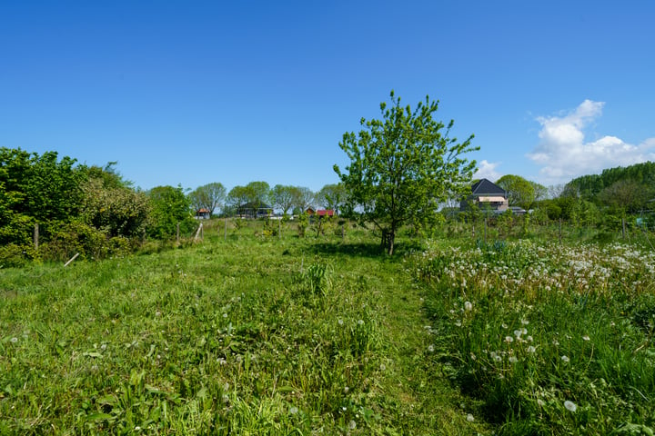 Bekijk foto 42 van Vrije Vogellaan 66