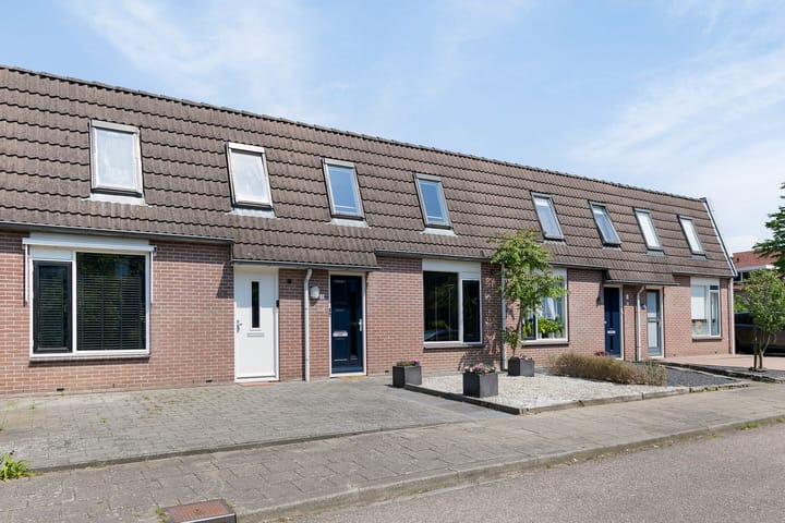 undefined main image