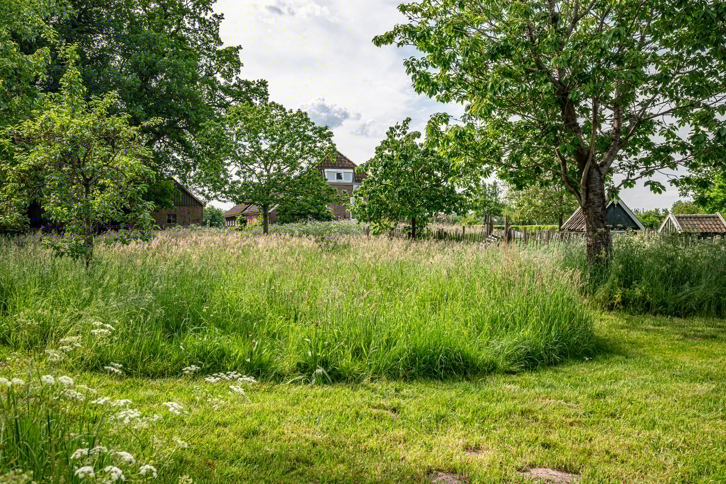 Foto 80 van Baarlo 4