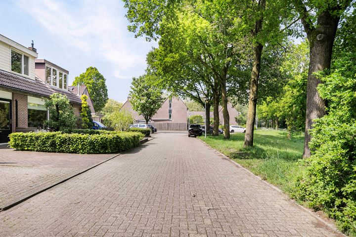 Bekijk foto 46 van Sonsbeek 16