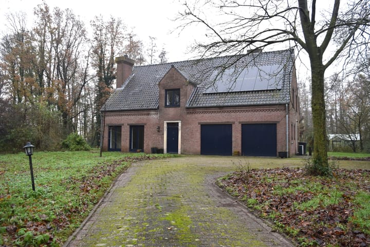undefined main image