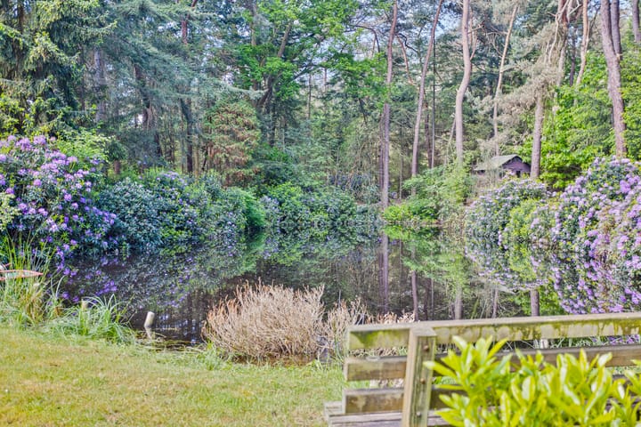 Foto 7 van Merellaan 6