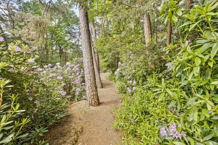 Foto 14 van Merellaan 6