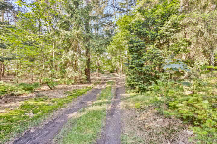 Foto 17 van Merellaan 6