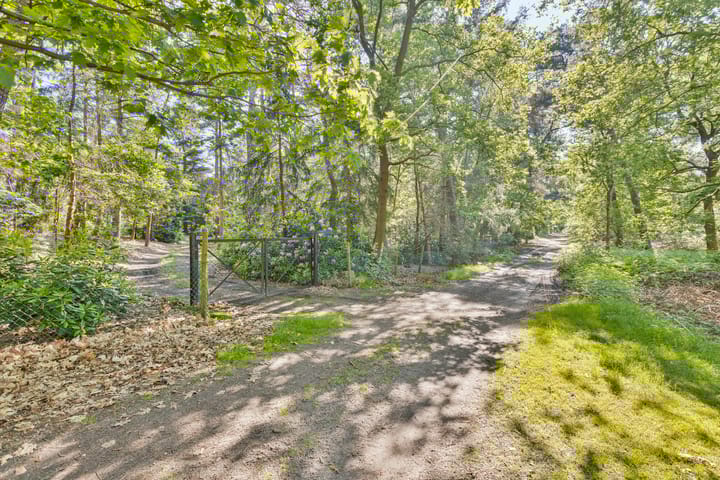 Foto 18 van Merellaan 6