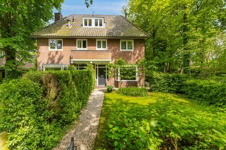 Bekijk foto 1 van Melvill van Carnbeelaan 23