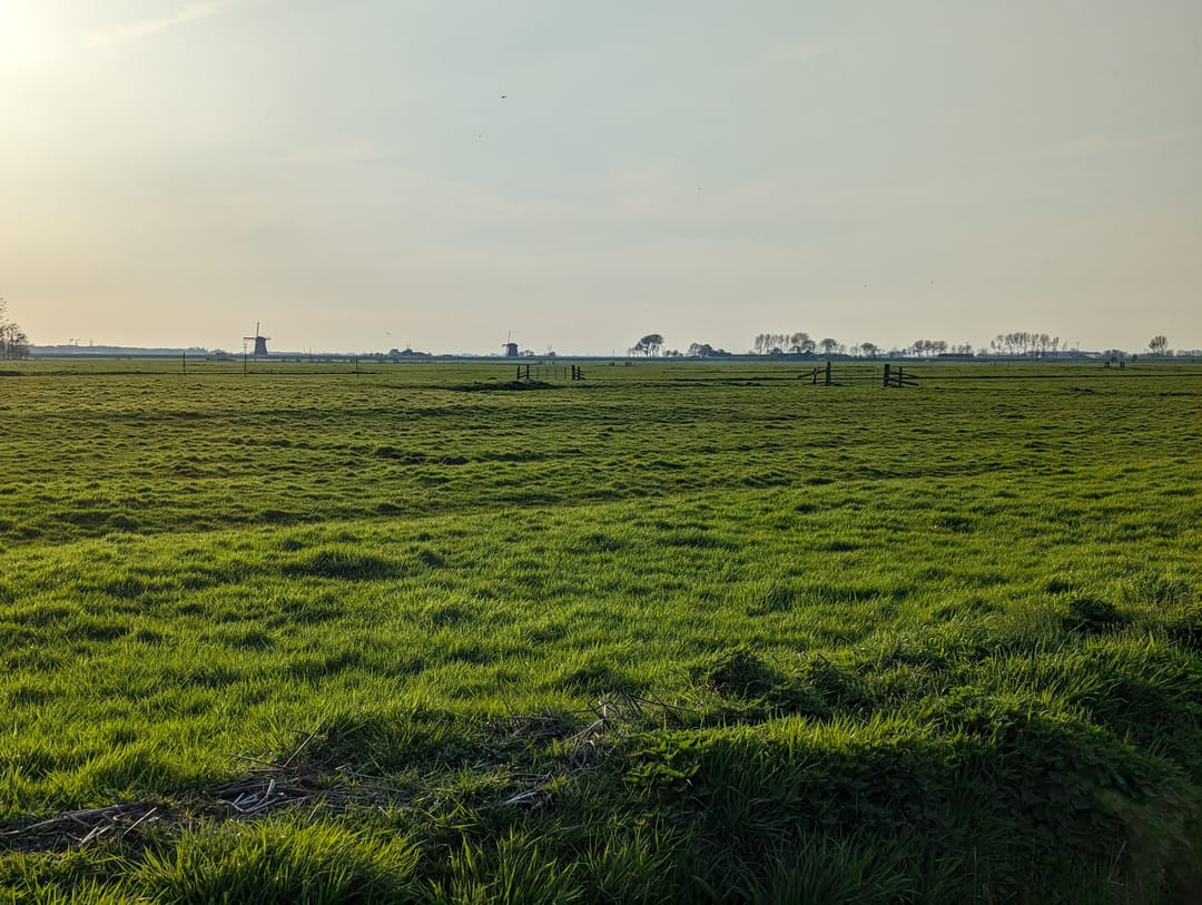 Foto 11 van Oostmijzerdijk 11