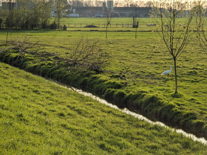 Foto 14 van Oostmijzerdijk 11