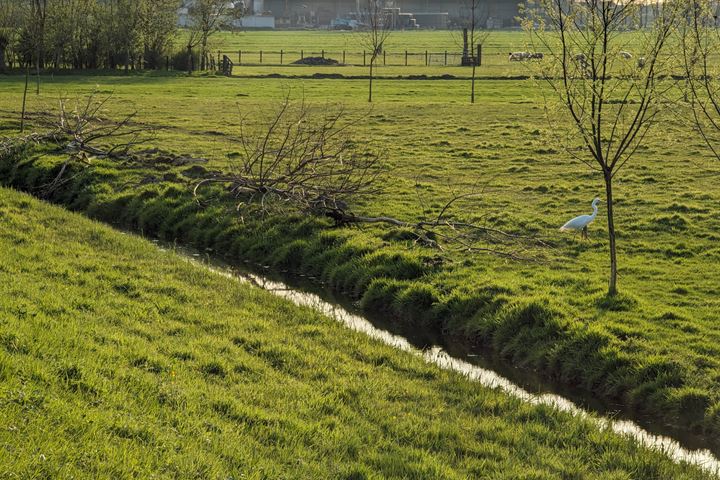 Bekijk foto 14 van Oostmijzerdijk 11