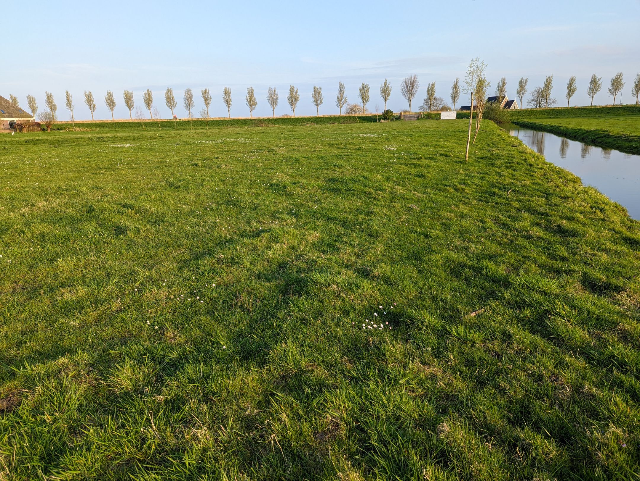 Foto 27 van Oostmijzerdijk 11