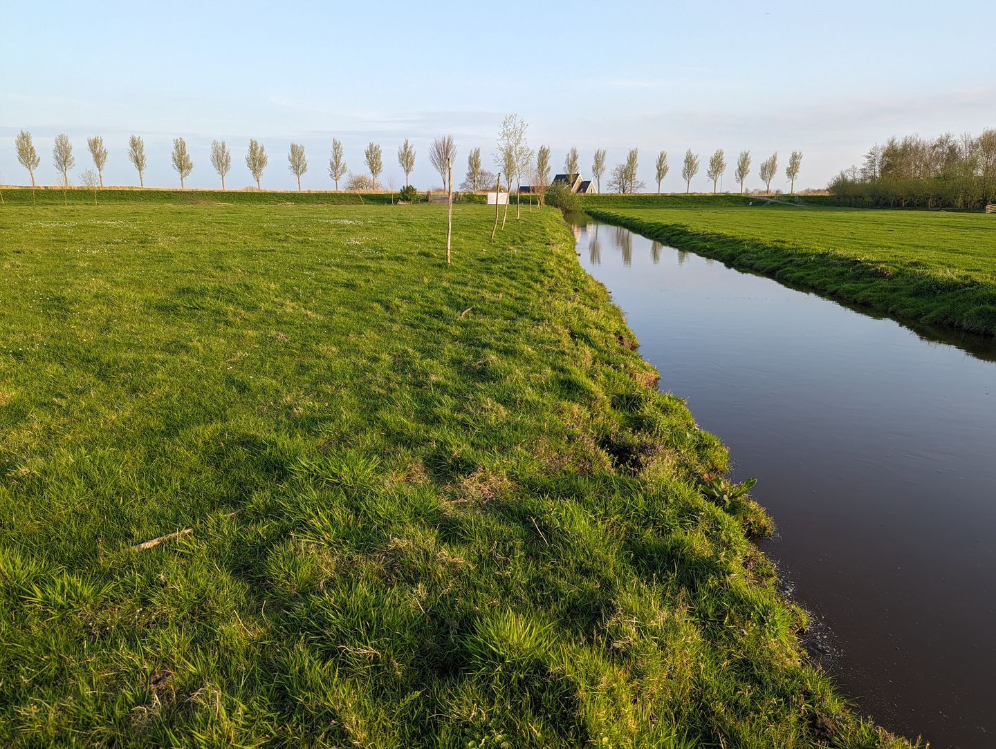 Foto 29 van Oostmijzerdijk 11