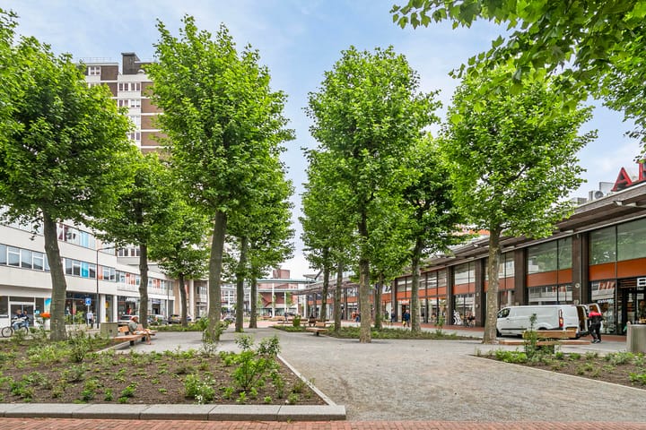 Foto 29 van Scheidingstraat 29