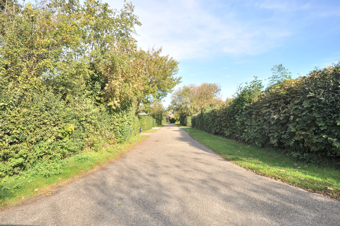 Photo 5 of Branding 8