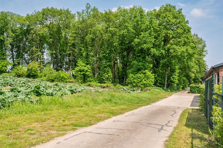 Bekijk foto 58 van Napoleonsbaan Zuid 46