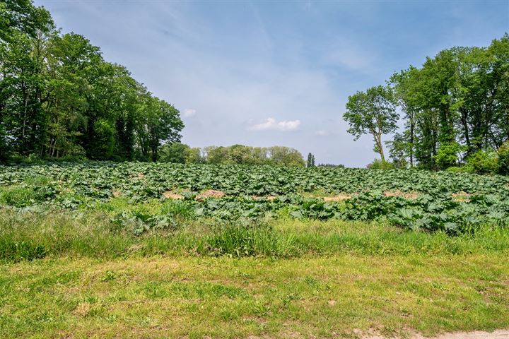 Bekijk foto 59 van Napoleonsbaan Zuid 46