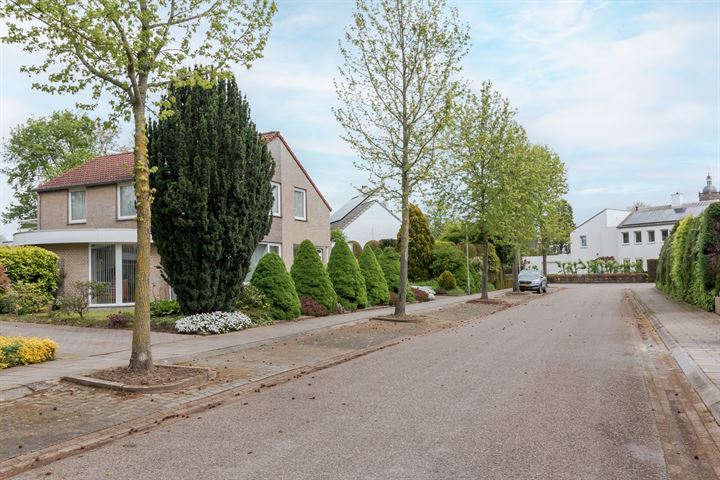 Bekijk foto 48 van Bellefleurstraat 33