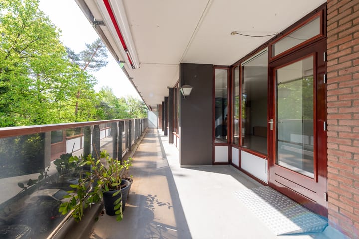 Foto 21 van Bosuillaan 157