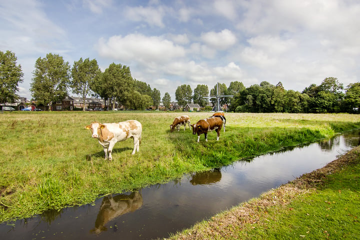 Bekijk foto 38 van Molijnstraat 26