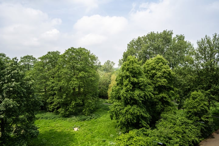 Bekijk foto 24 van Engelandlaan 154