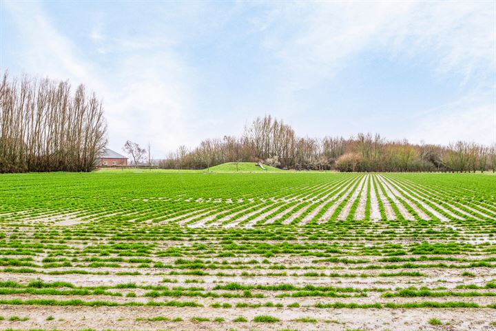 Bekijk foto 4 van Coentjesweg 36