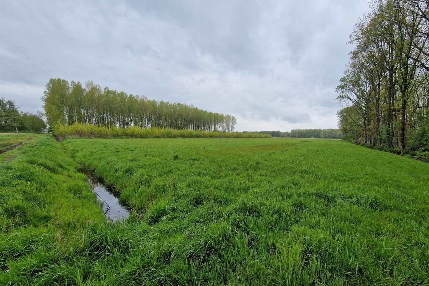 Bekijk foto 3 van Blenkert