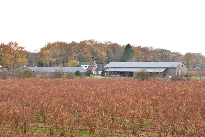 Noorderweg 3, Tiendeveen (Gem. Hoogeveen)