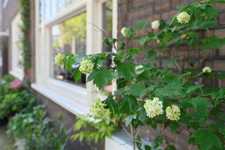 Bekijk foto 22 van Bestevâerstraat 253-H