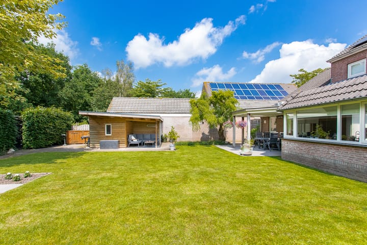 Foto 48 van Geelrijs 13